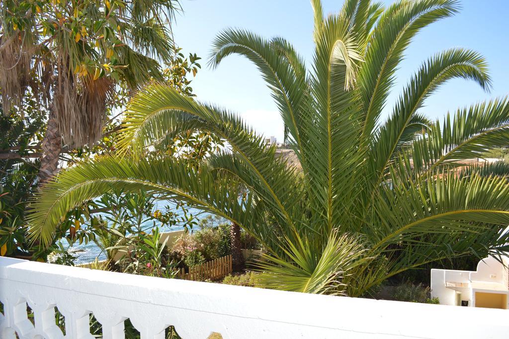 Jacaranda Apartments & Studios Es Cana Dış mekan fotoğraf